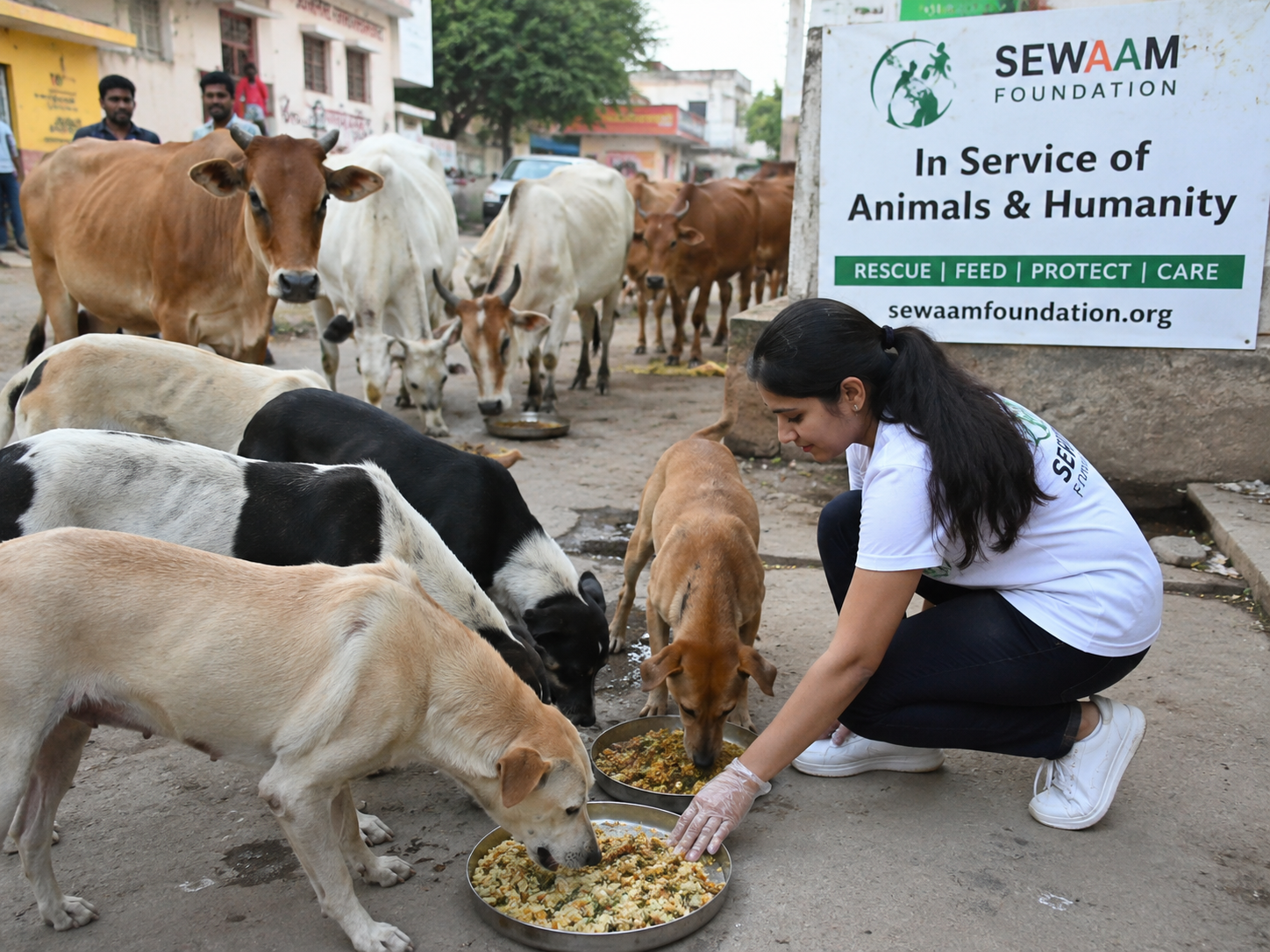 Animal Welfare